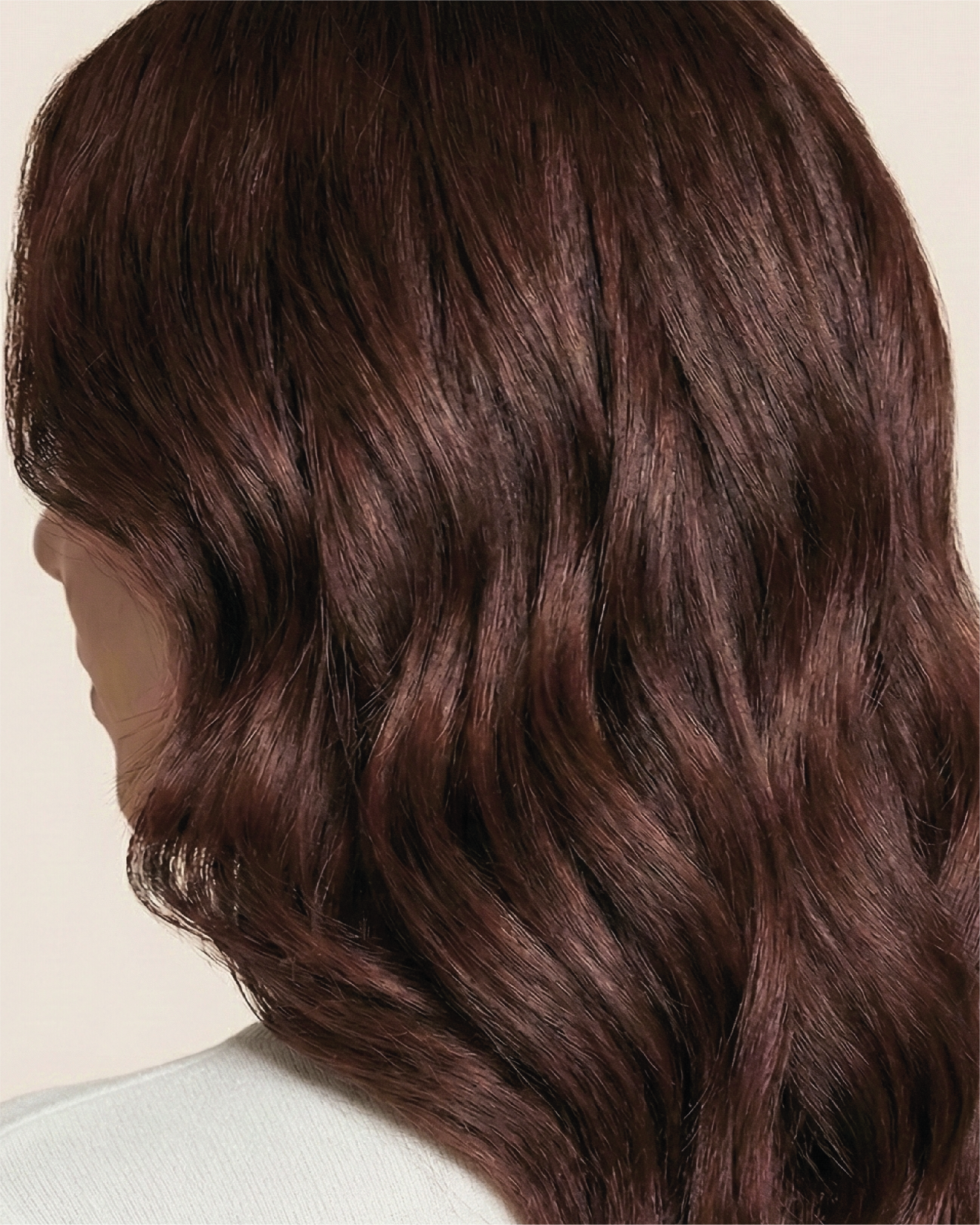 INCOLOR – PROBEAUTY Group