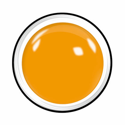 https://cdn.xorosoft.io/xo10333/Images/1001-21404-1_1.jpg