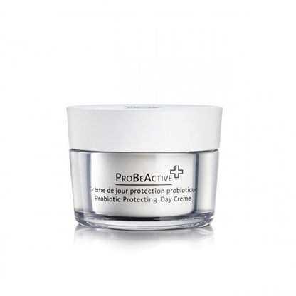 https://cdn.shopify.com/s/files/1/0023/6424/4037/products/1014-2202_398e500f-fc9b-4d06-aaf3-77d3a5c13f88.jpg?v=1710439560