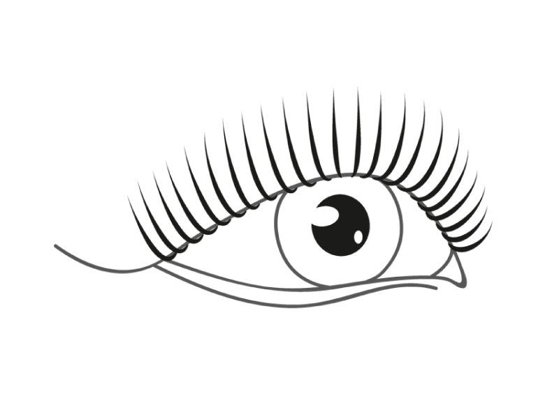 https://cdn.xorosoft.io/xo10333/20260706140136_FE299D48.jpg