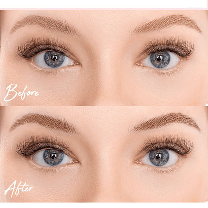 Refectocil Starter Kit, Basic Colours