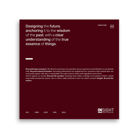 INSIGHT CORE (ENGLISH)